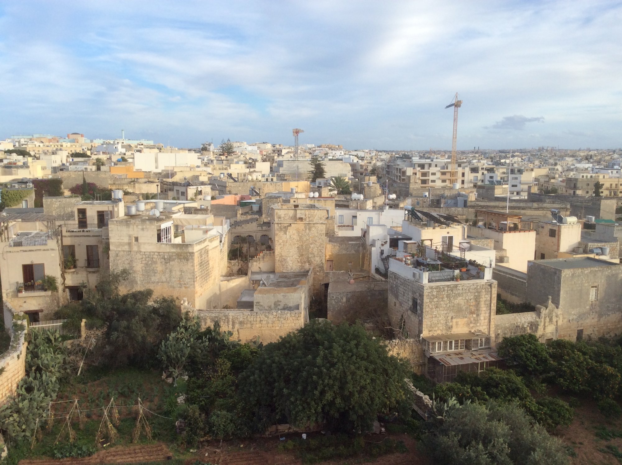 View over the rooftops of Birkirkara, one of Malta’s largest towns