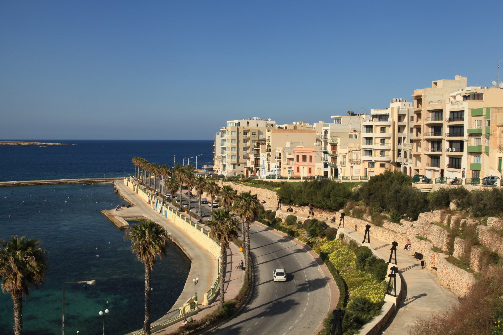 Palm-lined seafront promenade in St Paul’s Bay, Malta